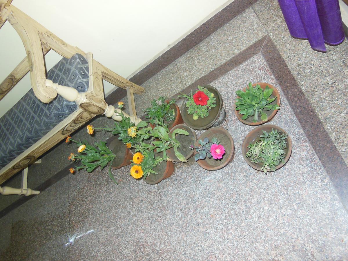 Shiva Inn Varanasi Exterior foto